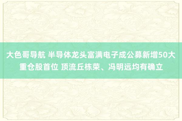 大色哥导航 半导体龙头富满电子成公募新增50大重仓股首位 顶流丘栋荣、冯明远均有确立