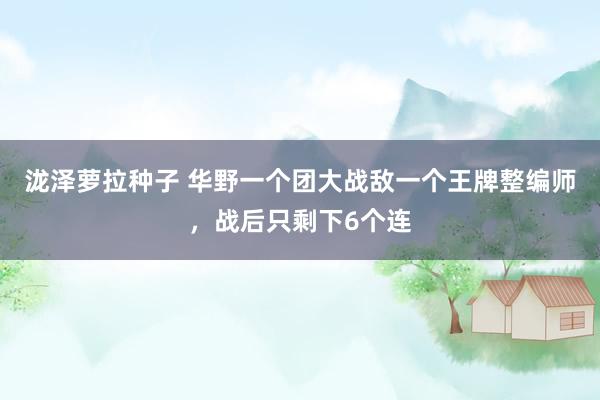 泷泽萝拉种子 华野一个团大战敌一个王牌整编师，战后只剩下6个连