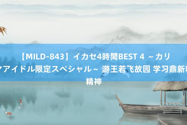 【MILD-843】イカセ4時間BEST 4 ～カリスマアイドル限定スペシャル～ 游王若飞故园 学习鼎新精神