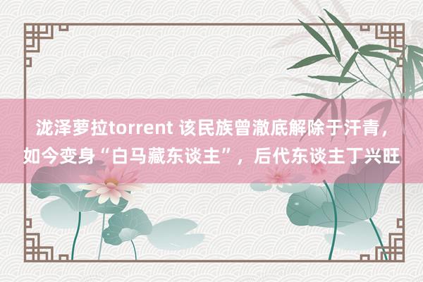 泷泽萝拉torrent 该民族曾澈底解除于汗青，如今变身“白马藏东谈主”，后代东谈主丁兴旺