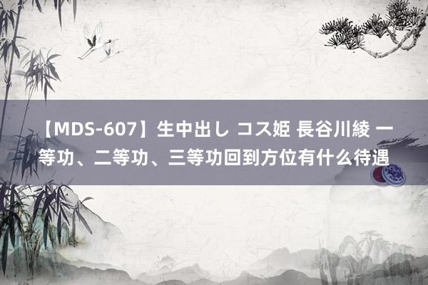 【MDS-607】生中出し コス姫 長谷川綾 一等功、二等功、三等功回到方位有什么待遇