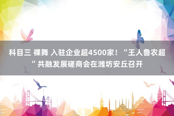 科目三 裸舞 入驻企业超4500家！“王人鲁农超”共融发展磋商会在潍坊安丘召开