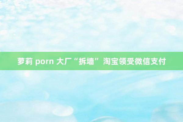 萝莉 porn 大厂“拆墙” 淘宝领受微信支付