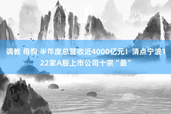 调教 母狗 半年度总营收近4000亿元！清点宁波122家A股上市公司十宗“最”