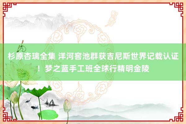 杉原杏璃全集 洋河窖池群获吉尼斯世界记载认证！梦之蓝手工班全球行精明金陵