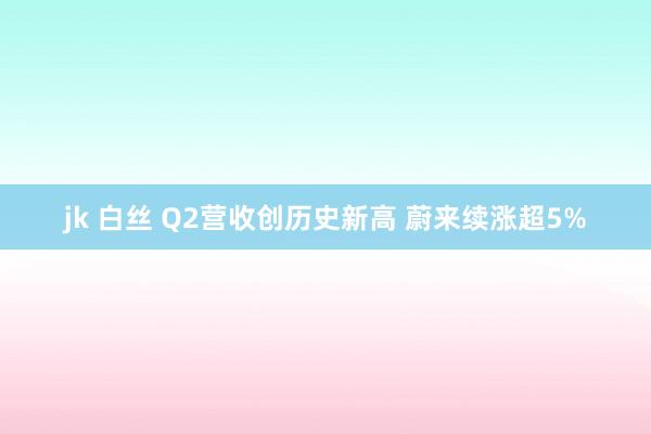 jk 白丝 Q2营收创历史新高 蔚来续涨超5%