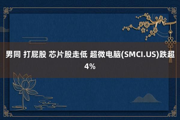 男同 打屁股 芯片股走低 超微电脑(SMCI.US)跌超4%