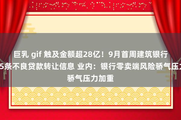 巨乳 gif 触及金额超28亿！9月首周建筑银行连发35条不良贷款转让信息 业内：银行零卖端风险骄气压力加重