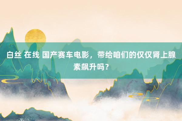 白丝 在线 国产赛车电影，带给咱们的仅仅肾上腺素飙升吗？