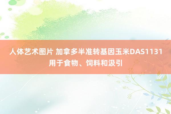 人体艺术图片 加拿多半准转基因玉米DAS1131用于食物、饲料和汲引